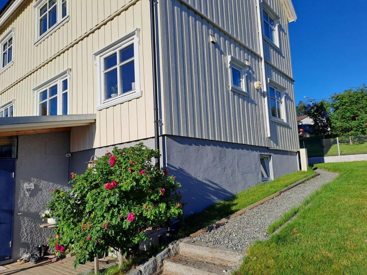 Warm And Cozy Apartment With Panoramic View Above The City Center Tromsø Zewnętrze zdjęcie